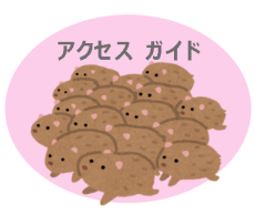 C[W